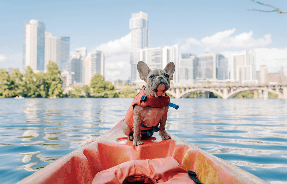 Pet Travel 2GO Travel Guide